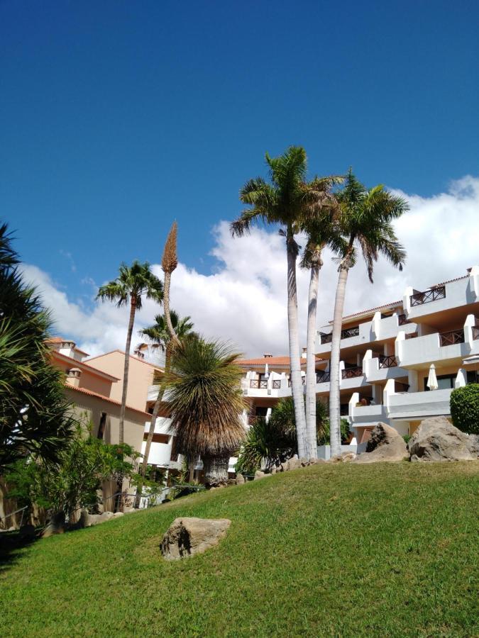Forest Flat - Big Heated Pool, Terrace, Tv Channels, Golf Courses San Miguel de Abona Buitenkant foto