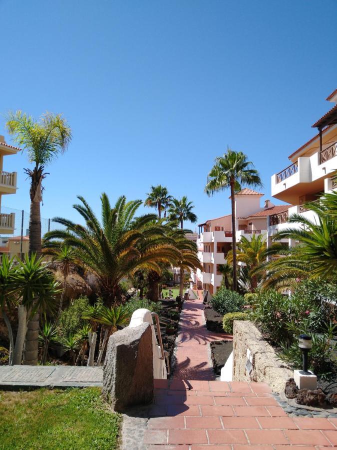 Forest Flat - Big Heated Pool, Terrace, Tv Channels, Golf Courses San Miguel de Abona Buitenkant foto