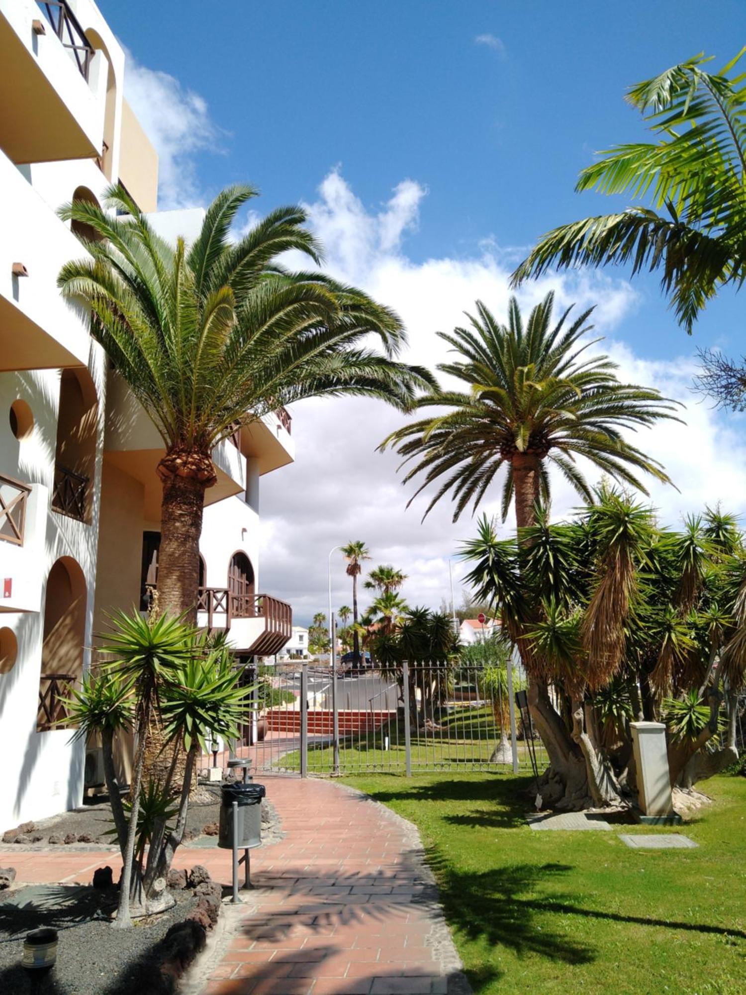 Forest Flat - Big Heated Pool, Terrace, Tv Channels, Golf Courses San Miguel de Abona Buitenkant foto